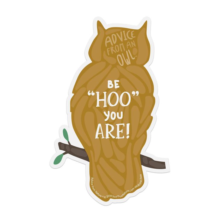 Owl Puns and Jokes