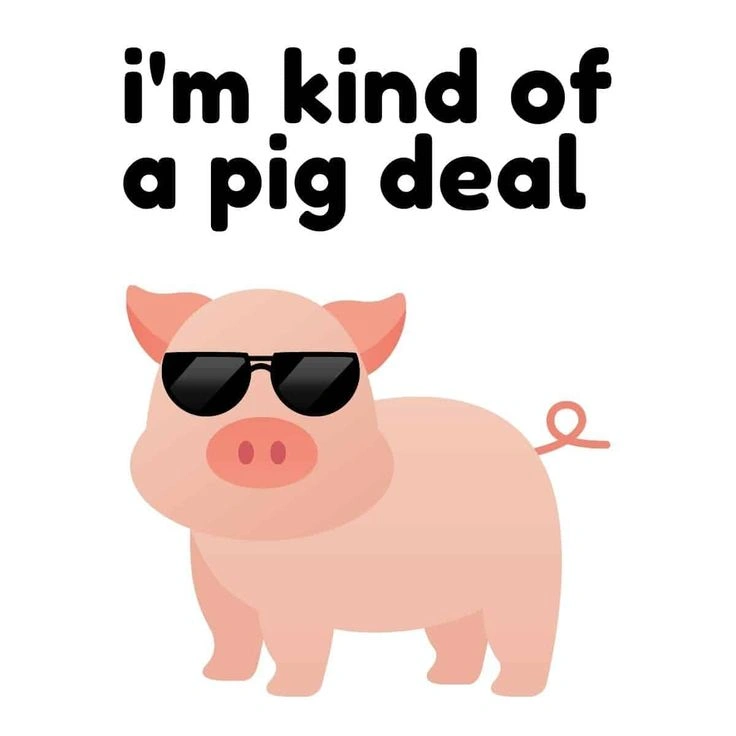 Pig Puns and Jokes