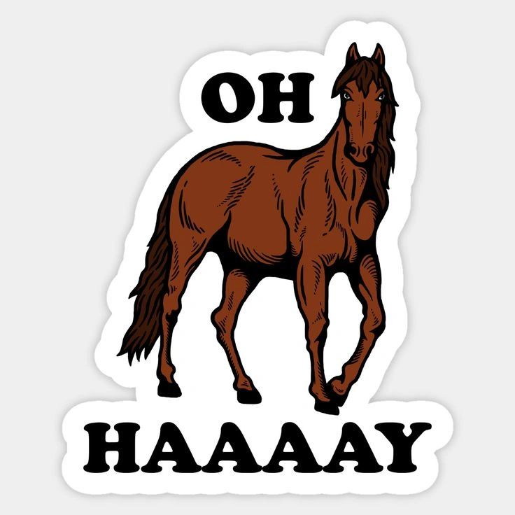 Horse Puns and Jokes
