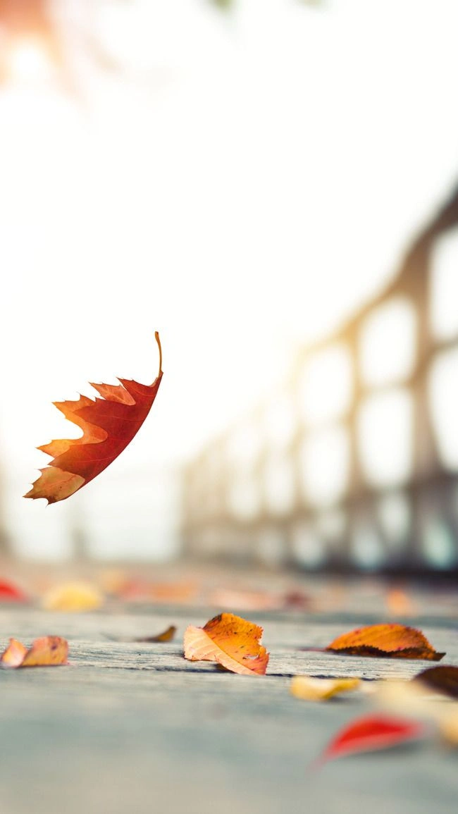 Fall Puns and Jokes
