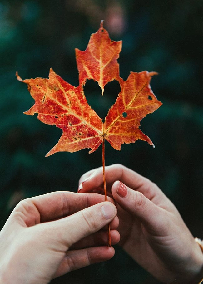 Fall Puns and Jokes