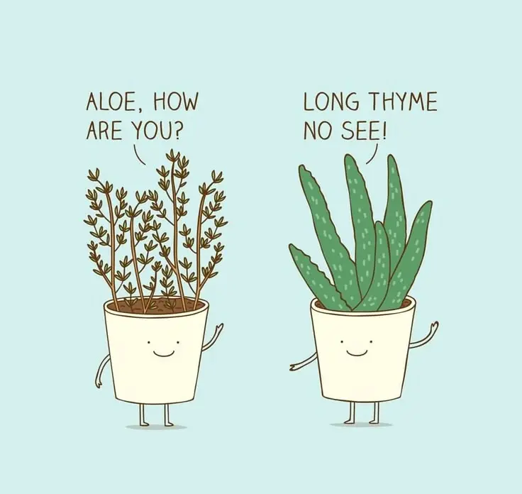 Flower Puns