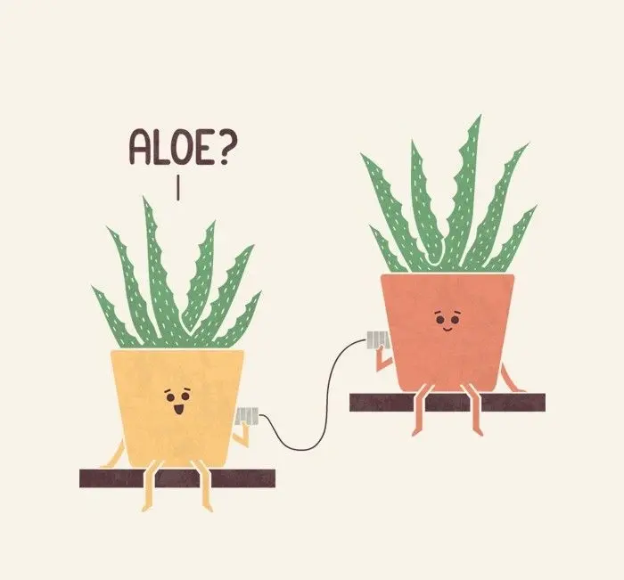 Flower Puns