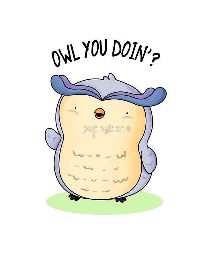 Owl Puns and Jokes