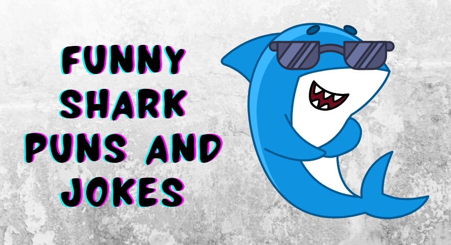 Funny Shark Puns