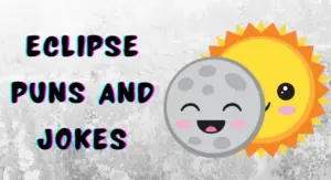 Eclipse Puns and Jokes