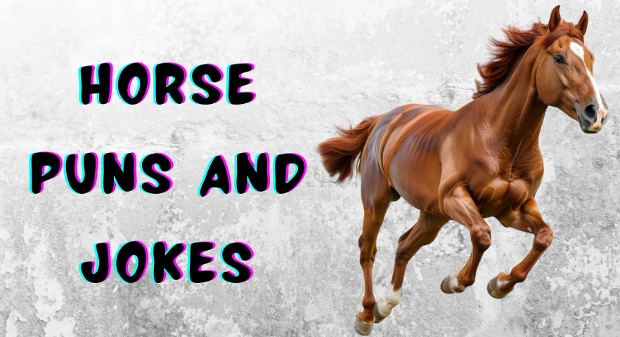 Horse Puns and Jokes