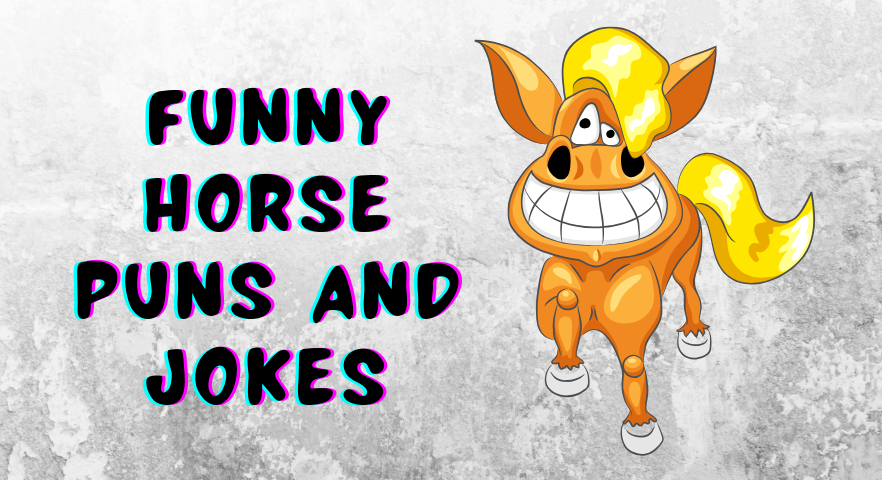 Funny Horse Puns