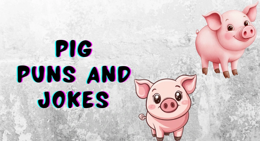 Pig Puns and Jokes