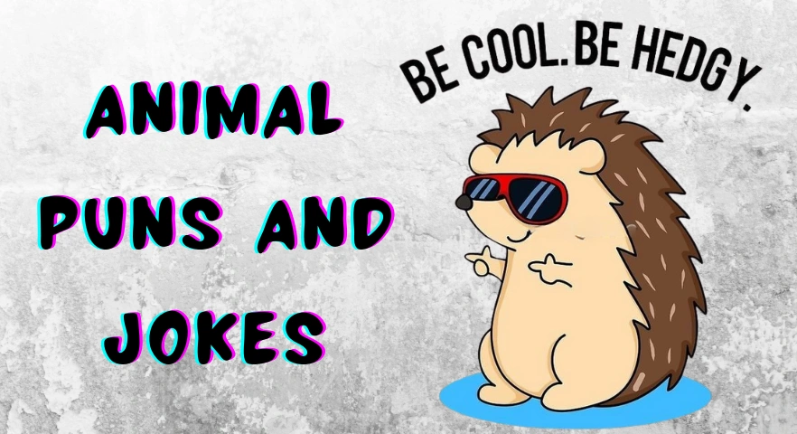animal puns