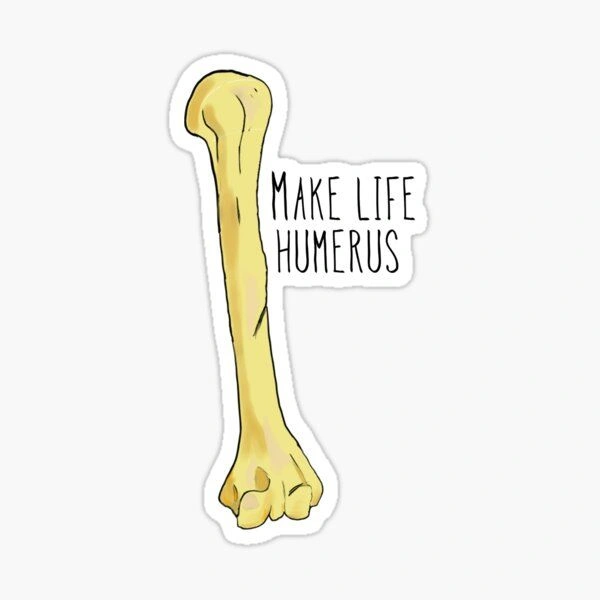 Bone Puns