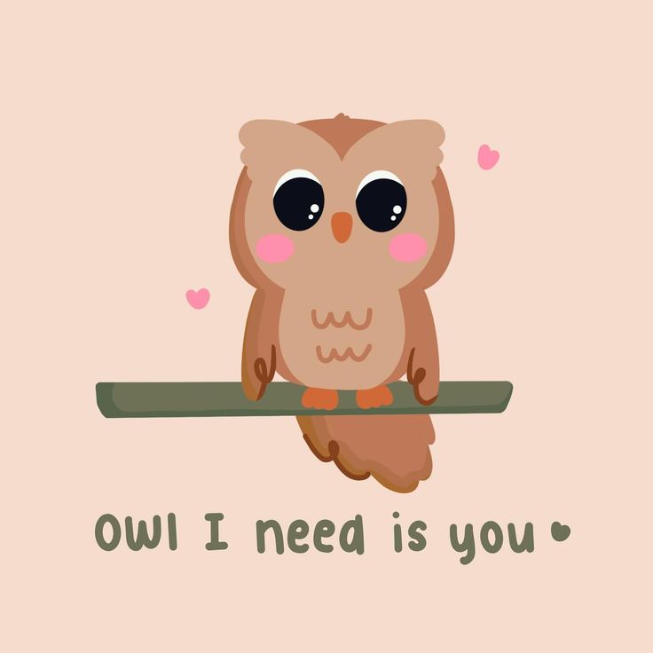 Owl Puns and Jokes