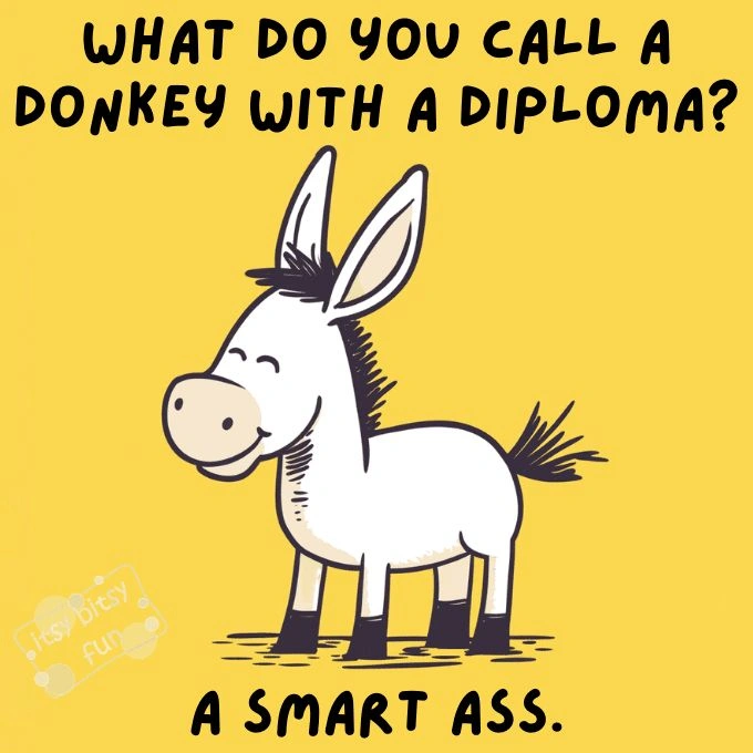 dark humor jokes