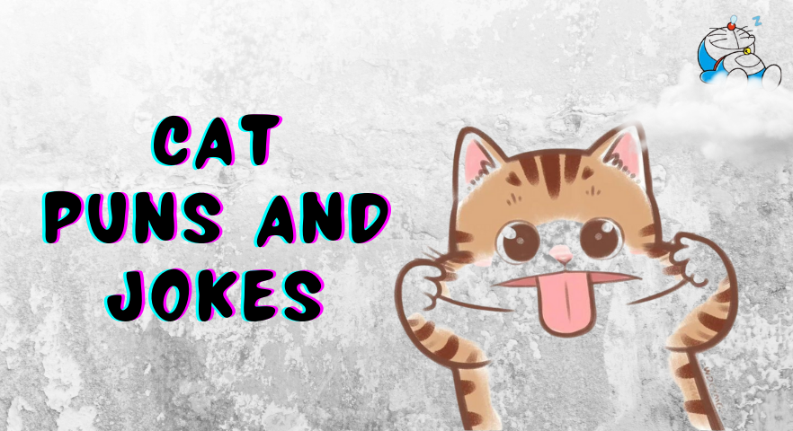 Cat Jokes and Puns