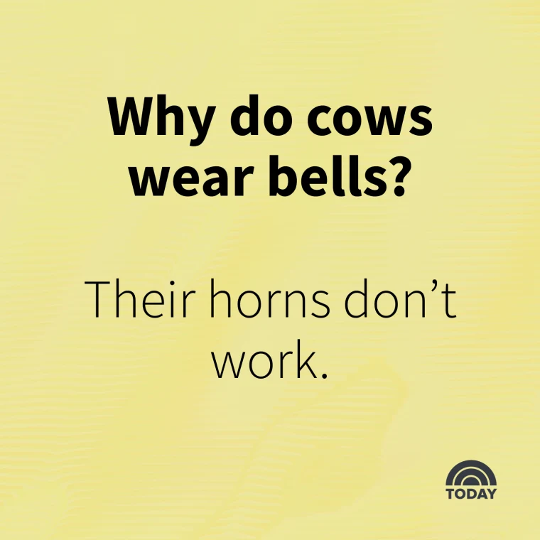 corny jokes 