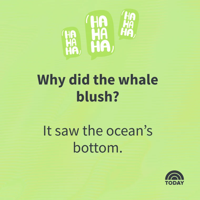 corny jokes 