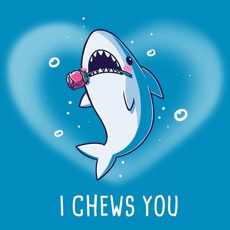 Funny shark puns