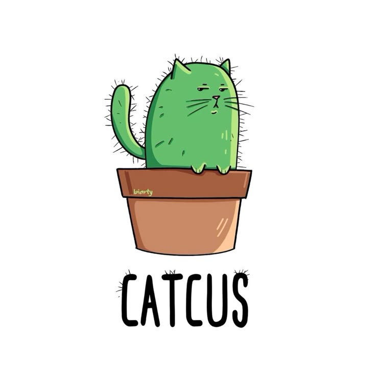 Cat Puns and Jokes