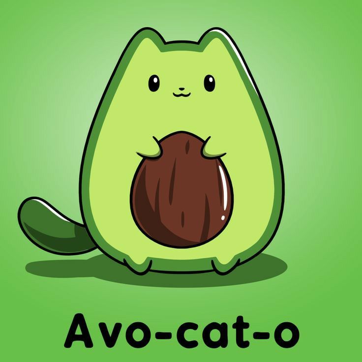 Cat Puns and Jokes