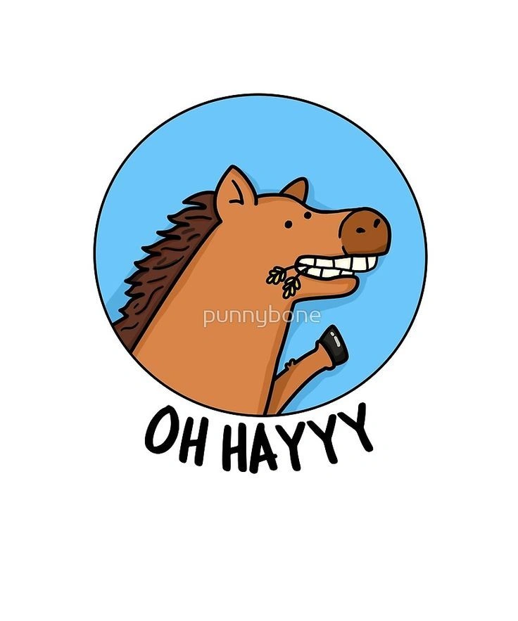Horse Puns and Jokes