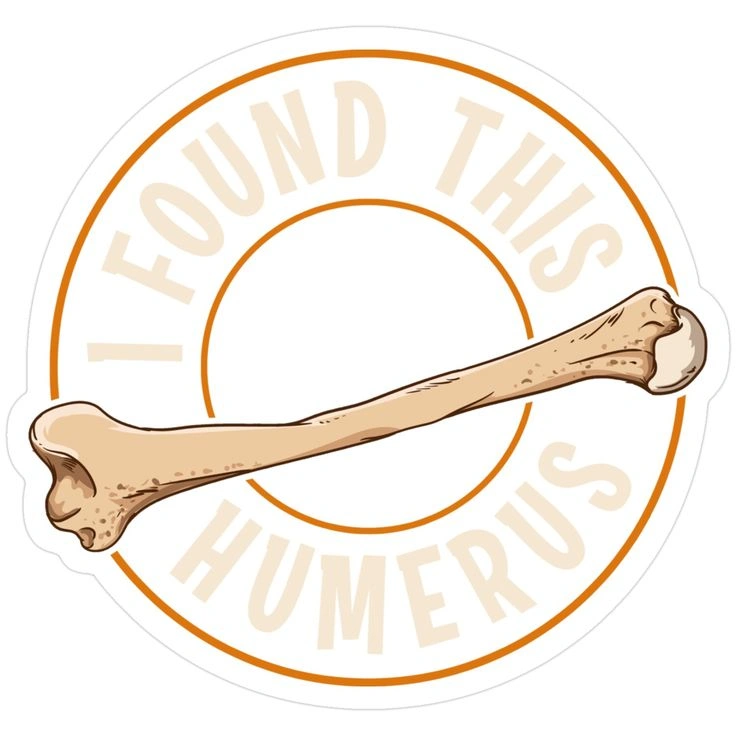 Bone Puns