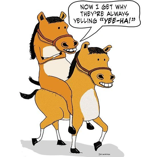 Horse Puns and Jokes