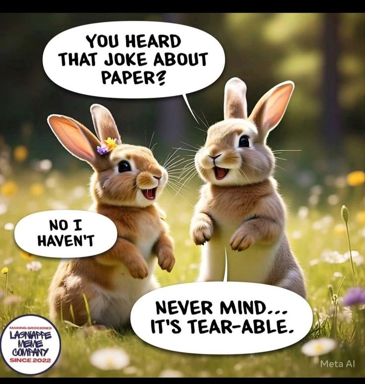 Bunny Puns