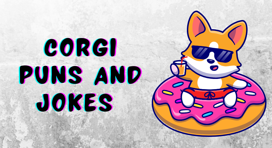 Corgi Puns