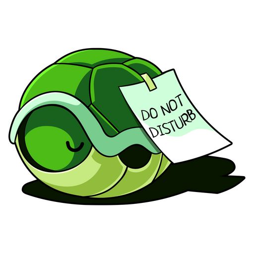 turtle puns
