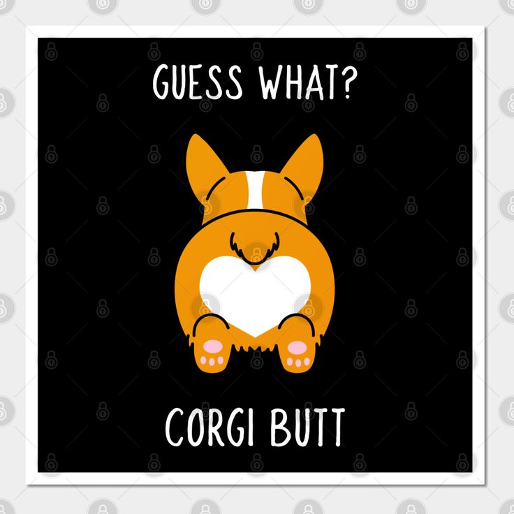 Corgi Puns