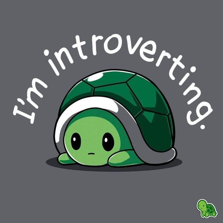 turtle Puns