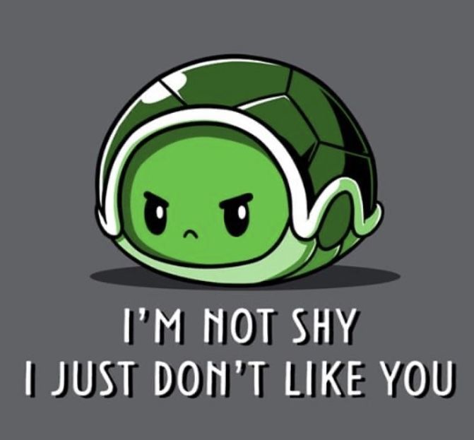 Turtle Puns