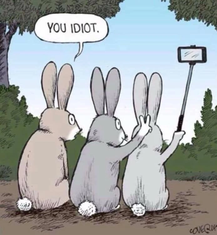 Short Bunny Puns