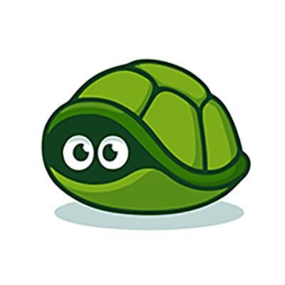 Turtle Puns 