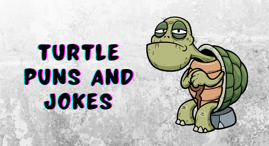 Turtle Puns