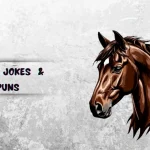 Horse Jokes