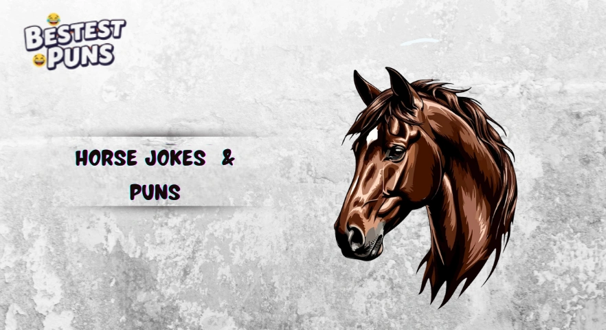 Horse Jokes