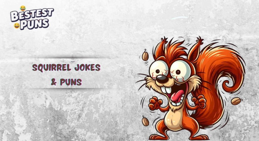 Squirrel Jokes
